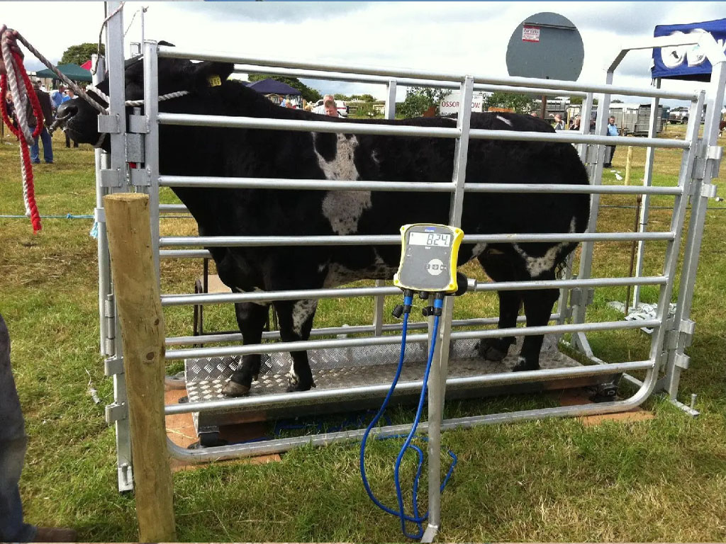 Soha Safa Petroleum Diesel Services and Storسسages copy